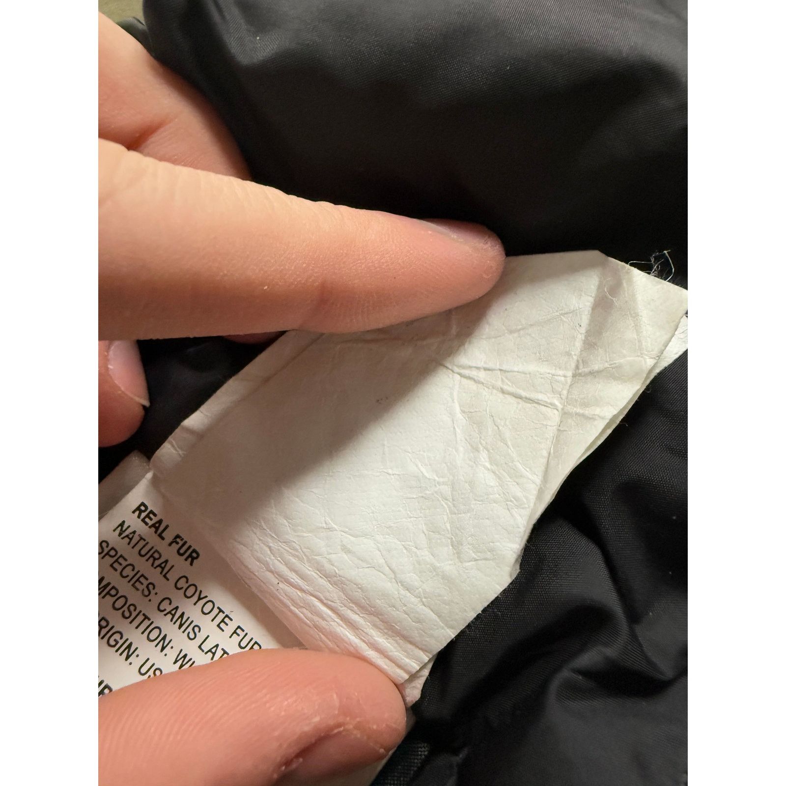 Canada Goose Canada Goose Women's Long Coat Olive XS Used Size XS / US 0-2 / IT 36-38 - 11 Thumbnail