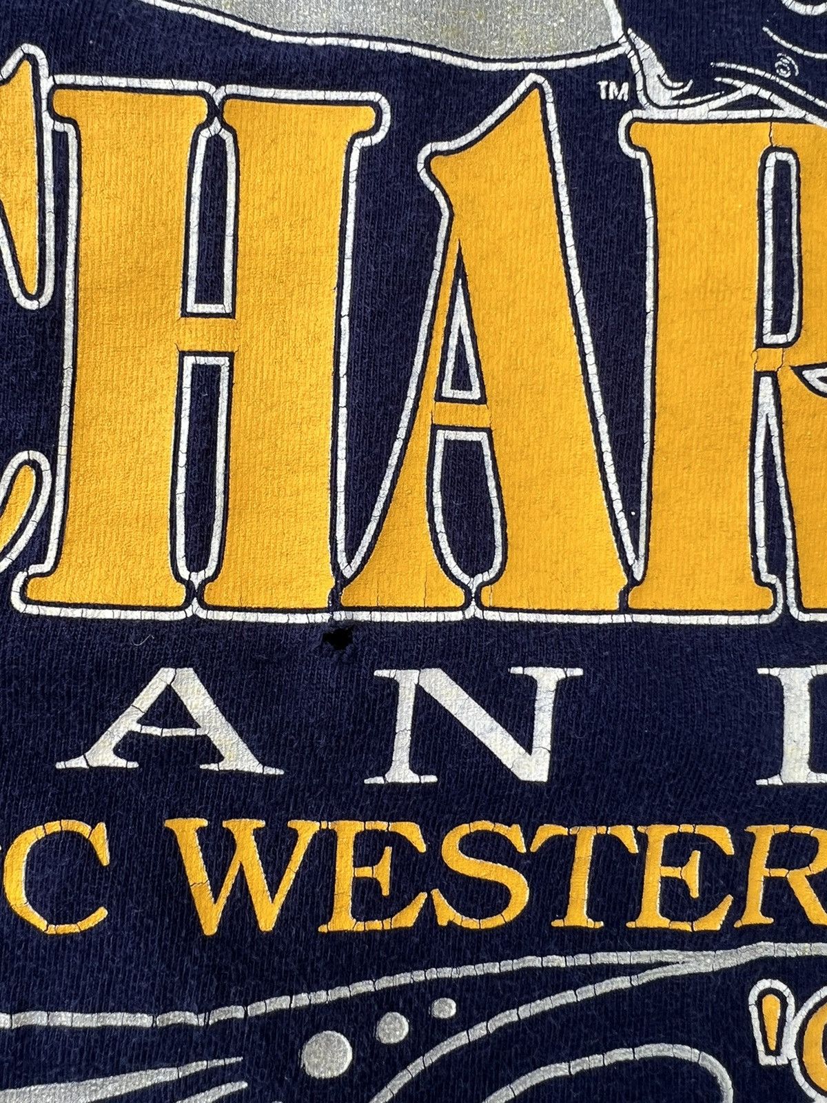 Hanes Vintage 1992 san diego chargers afc western div champs tee Size US M / EU 48-50 / 2 - 4 Thumbnail