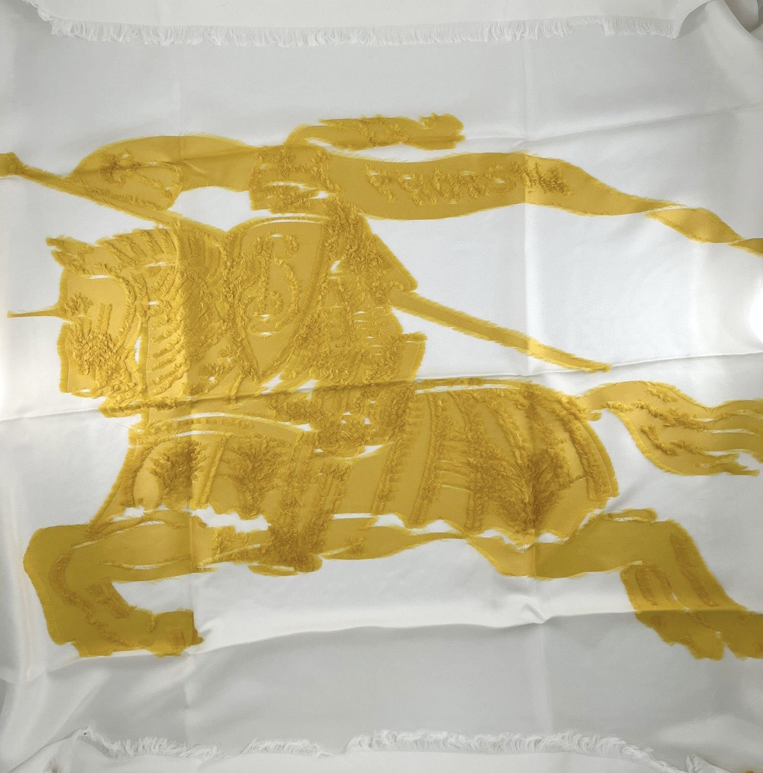 Burberry Luxury stole Burberry Size ONE SIZE - 11 Thumbnail