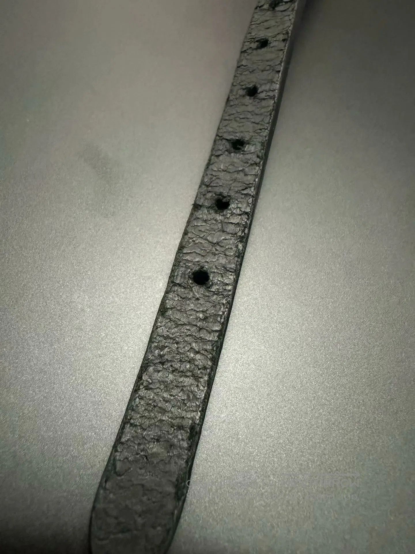 Vivienne Westwood Vivienne Westwood Saturn Choker. Size ONE SIZE - 7 Thumbnail