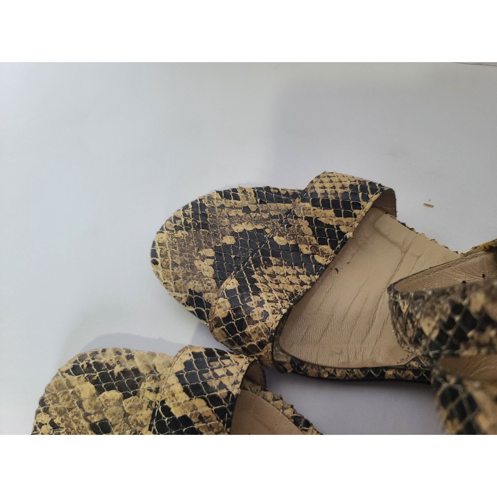 Fendi Fendi First Fendance Snake Gladiator Sandals EUR 36 US 6 Size US 6 / IT 36 - 7 Thumbnail