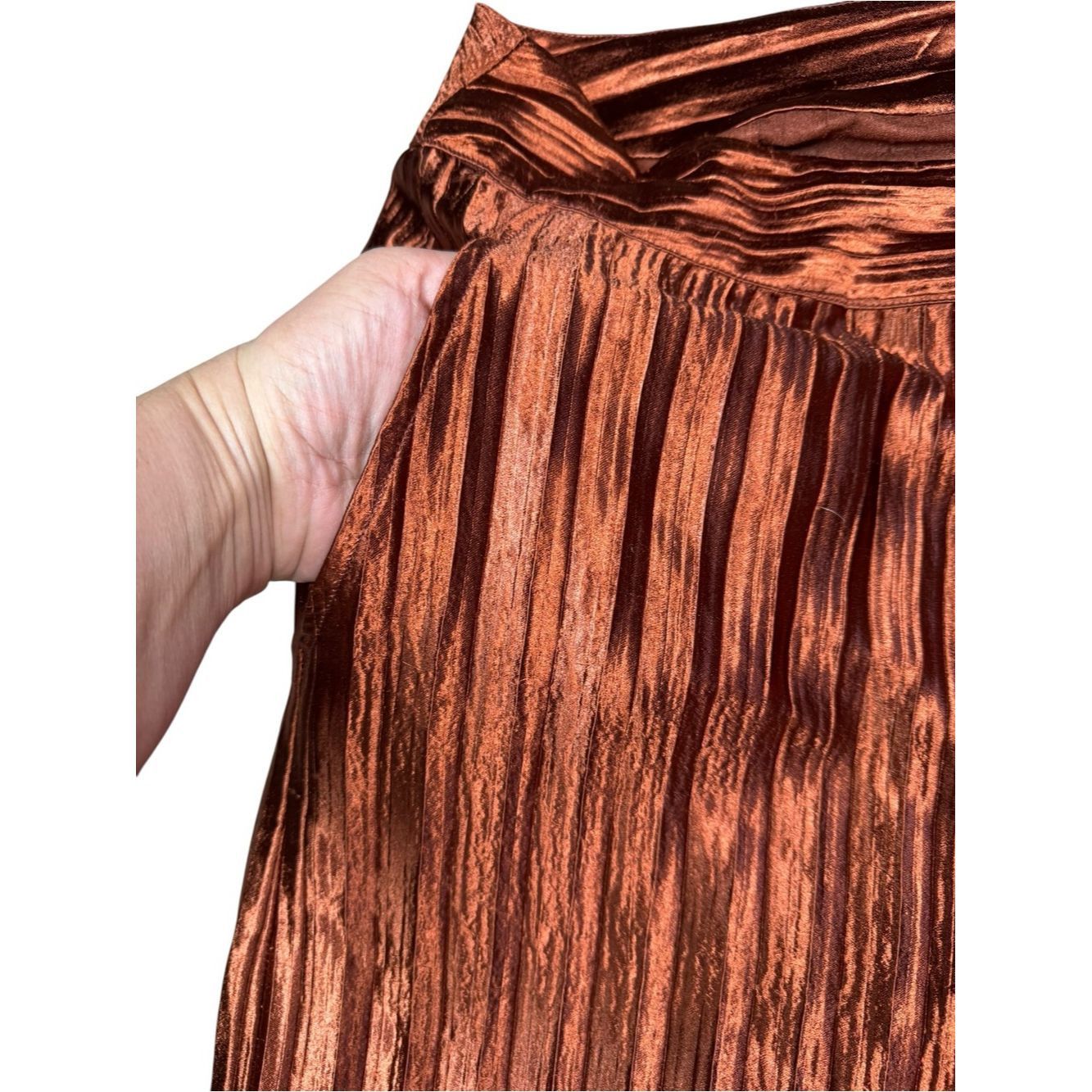 Anthropologie Anthropologie Guapa Naomi Pleated Metallic Pants In Rust Si Size 42" / US 20 - 5 Thumbnail