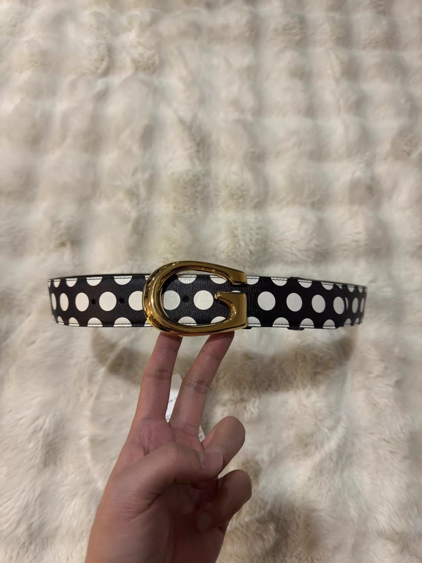 Gucci Gucci Gold Buckle Black & White Polka Dot Belt With Tags Size ONE SIZE - 1 Thumbnail