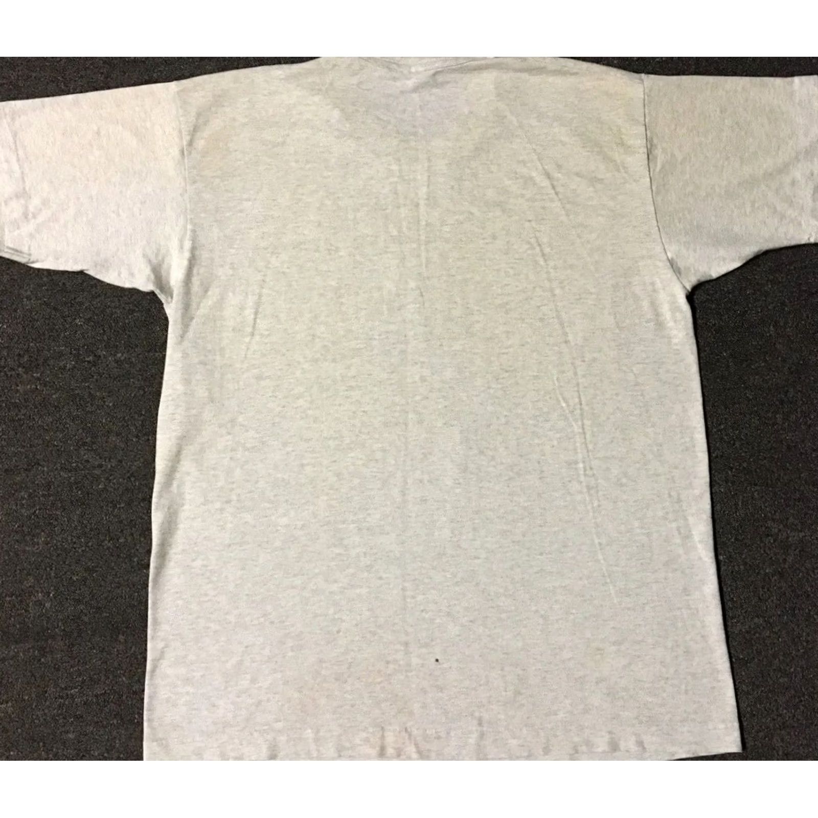 Vintage VINTAGE Mesa College Science Institute Faded Distressed Shirt L Gray Crew Neck Short Sleeve University College Grunge 90s Mens T-Shirt Size US L / EU 52-54 / 3 - 2 Thumbnail