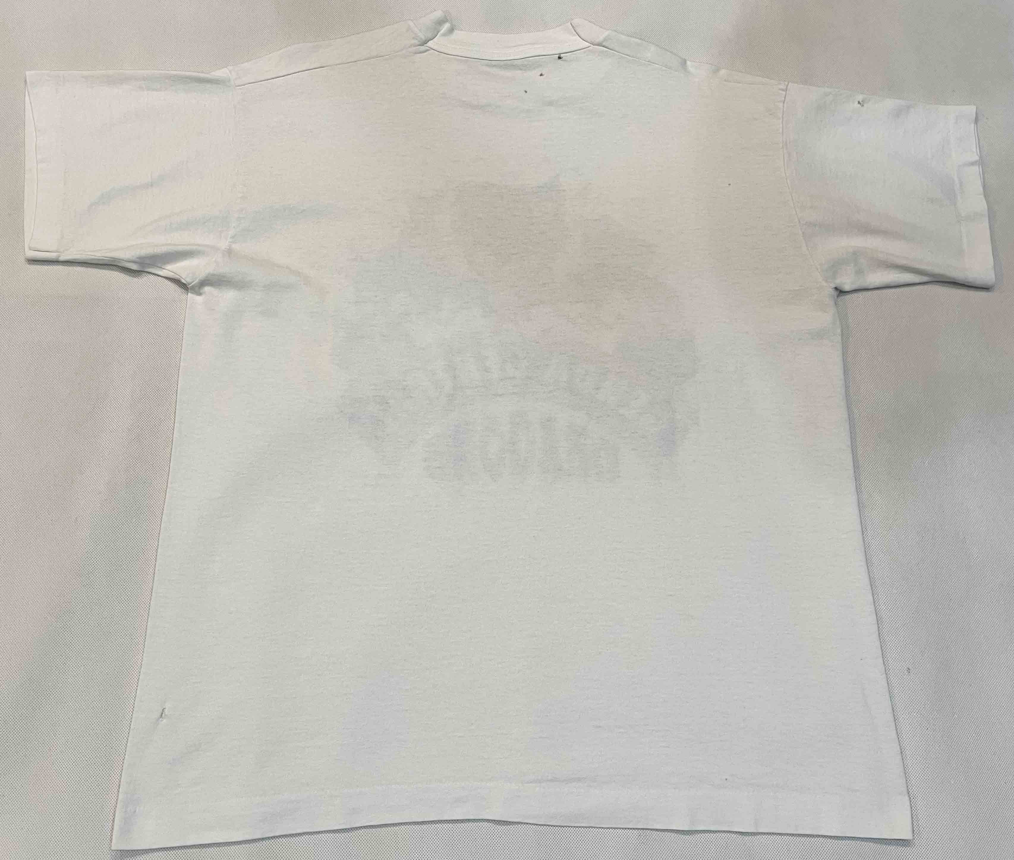 Fruit Of The Loom × Vintage Vintage Fruit of the Loom Genoa Central Dragons T-Shirt Size US L / EU 52-54 / 3 - 7 Thumbnail