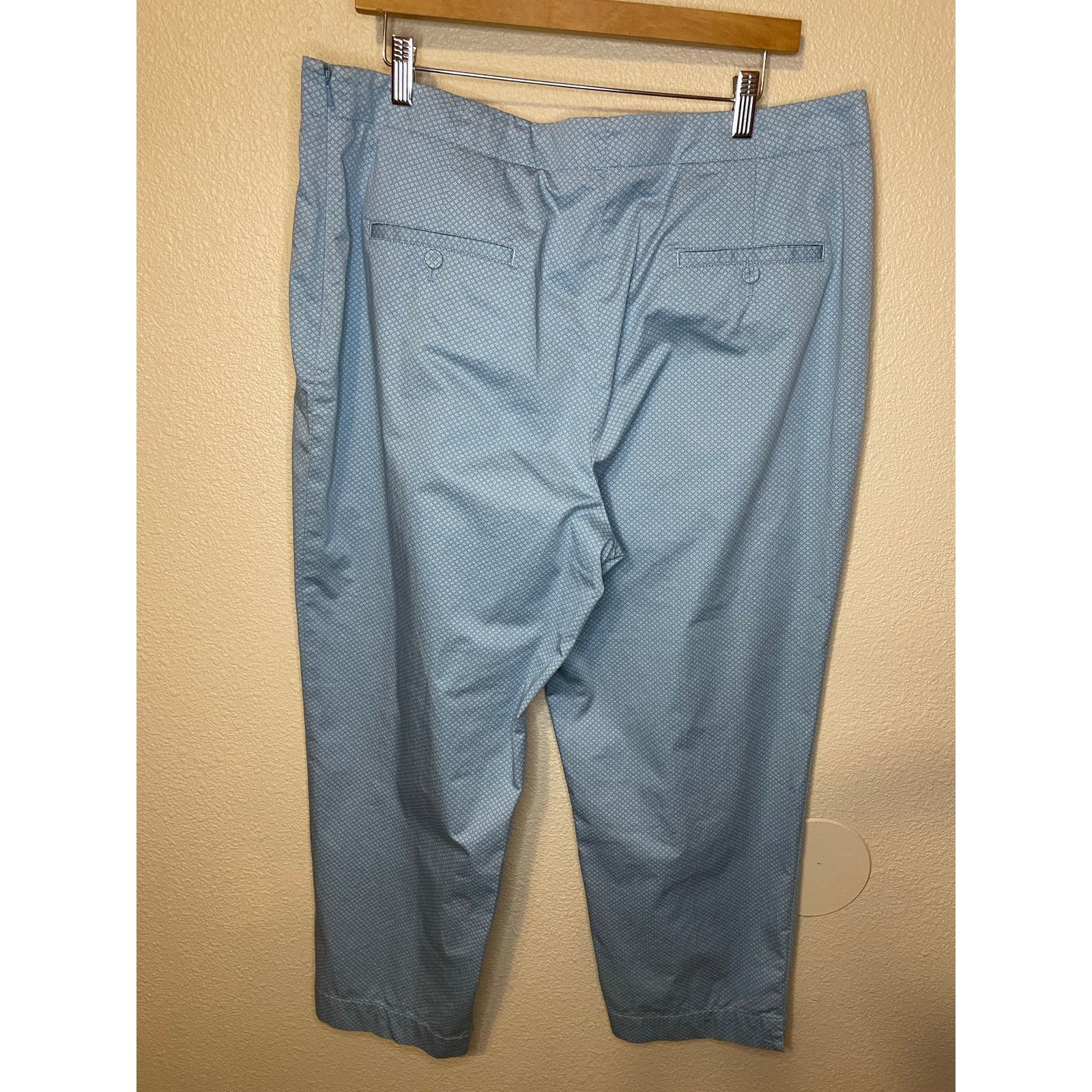 Talbots Talbots Blue Cottage Print Side Zip Stretch Capri Pants 16 Size 38" / US 16 / IT 52 - 2 Thumbnail