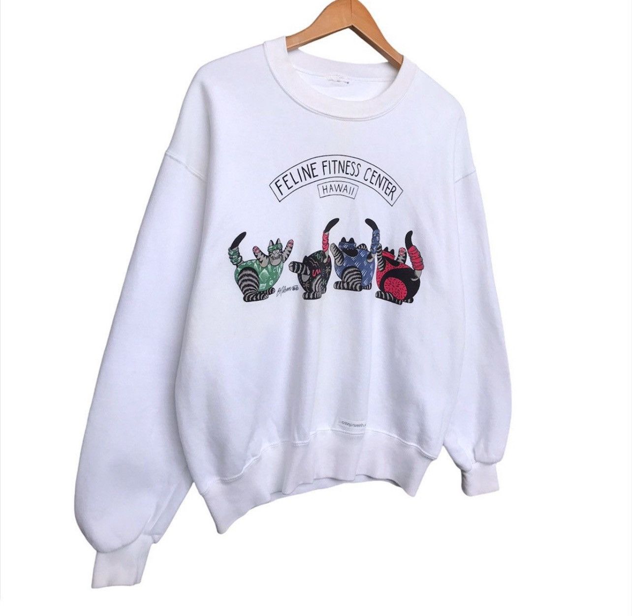 Vintage Vintage Crazy Shirt Bkliban Hawaii Feline Sweatshirt Baggy Size US S / EU 44-46 / 1 - 2 Thumbnail
