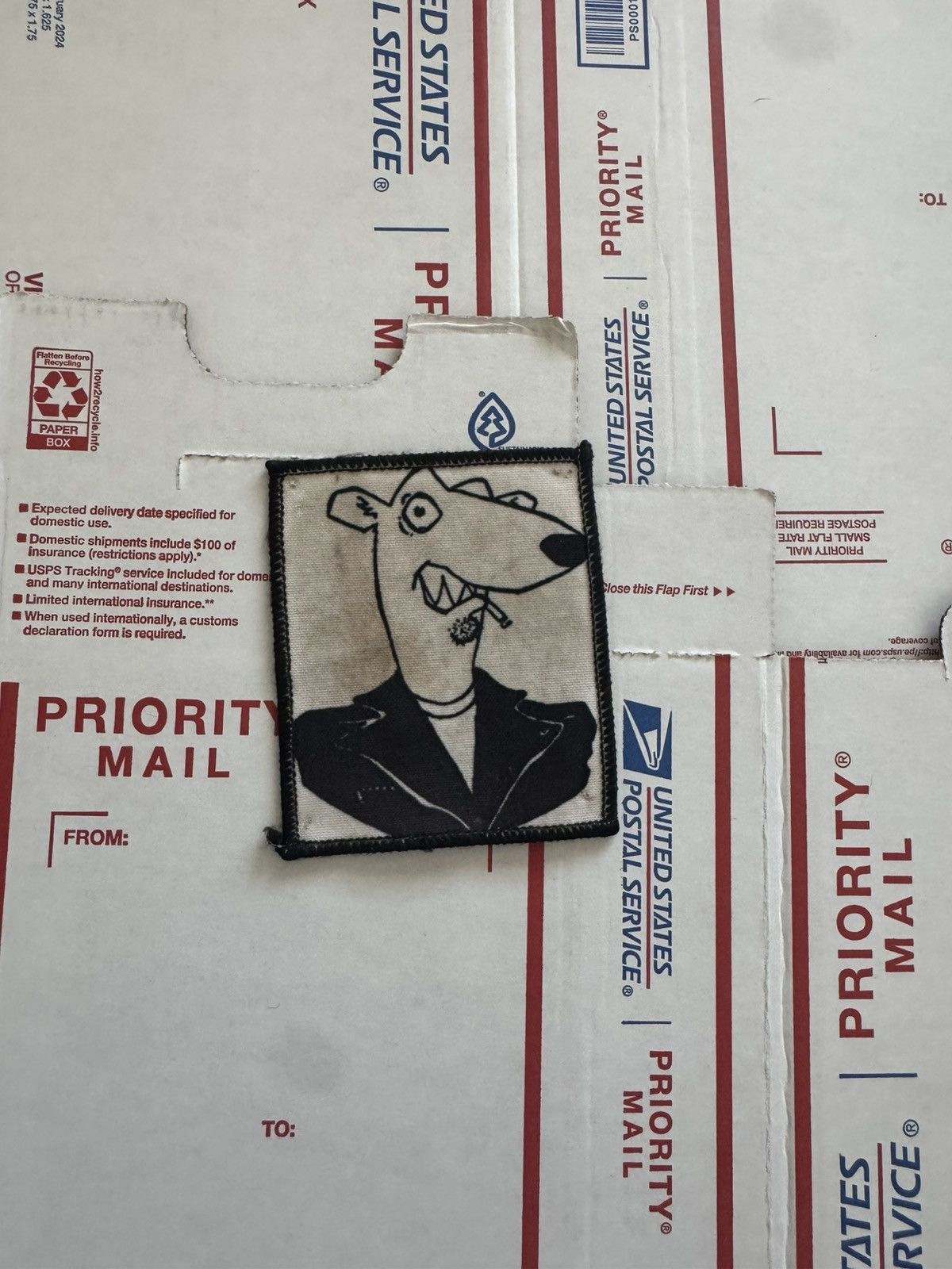 Other Screeching Weasel Punk Rock Vintage Band Patch Size ONE SIZE - 5 Thumbnail