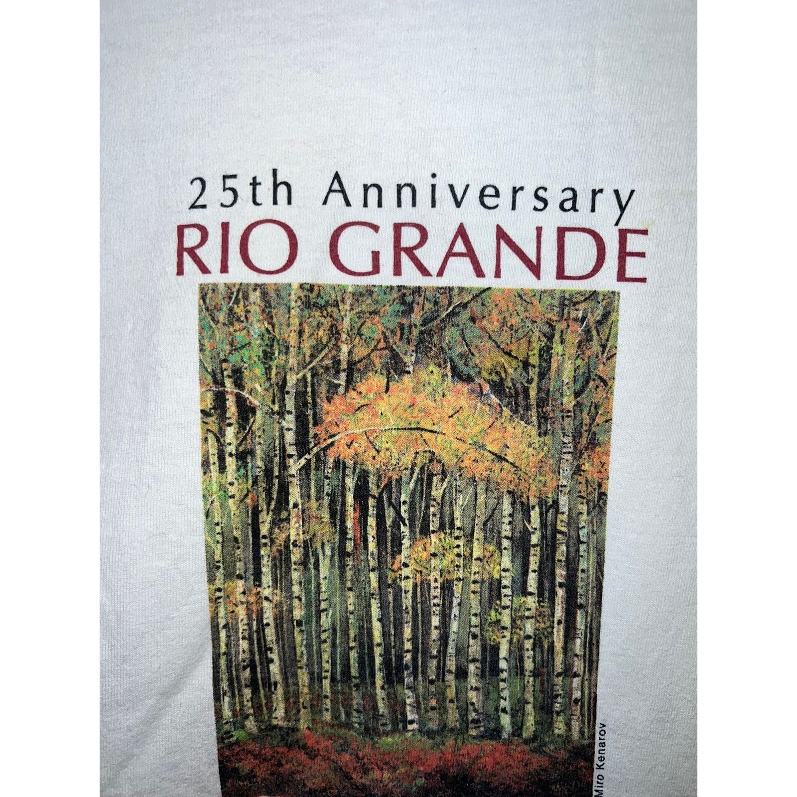 Port & Company Vintage Arts Festival Shirt Rio Grande Art Long Sleeve L Size US L / EU 52-54 / 3 - 3 Thumbnail