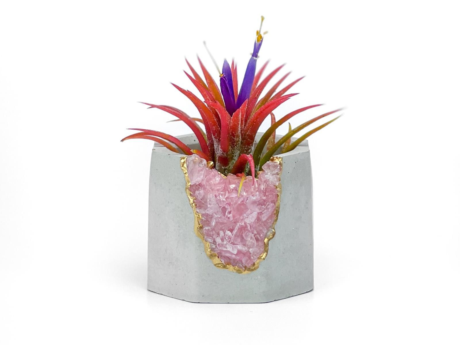 Other Rose Quartz Crystal Planter Concrete Geode Air Plant Holder Size ONE SIZE - 2 Thumbnail