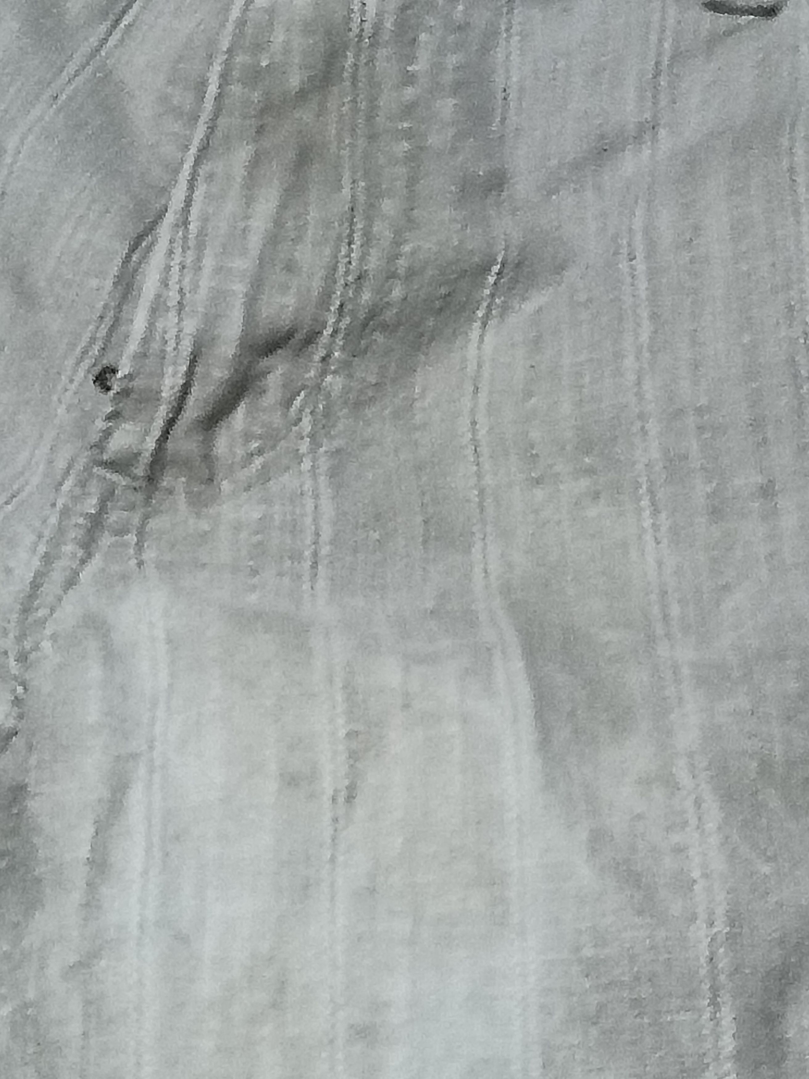 Stanley Blacker STANLEY JEANS HICKORY PANT Size US 34 / EU 50 - 4 Thumbnail