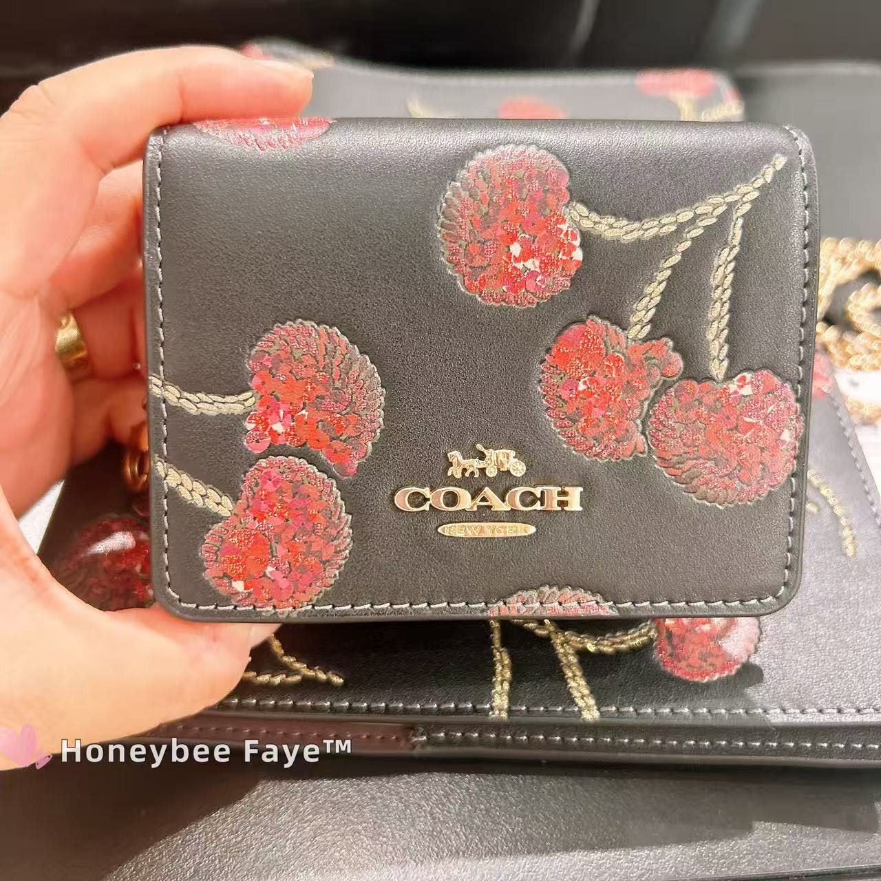 Coach NWT Coach CDE98 Mini Wallet On A Chain With Cherry Print Size ONE SIZE - 1 Thumbnail
