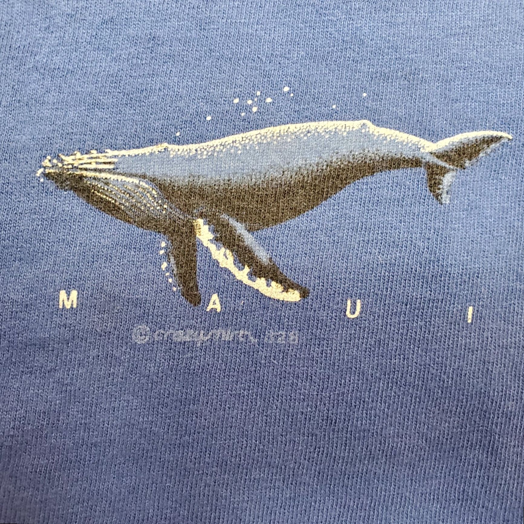 Vintage VINTAGE Crazy Shirts Shirt Mens M Blue Orca Whale Nature TEE Crewneck Outdoor Casual 90s USA American Graphic Print Short Sleeve Cotton Jersey Vintage Size US M / EU 48-50 / 2 - 5 Thumbnail