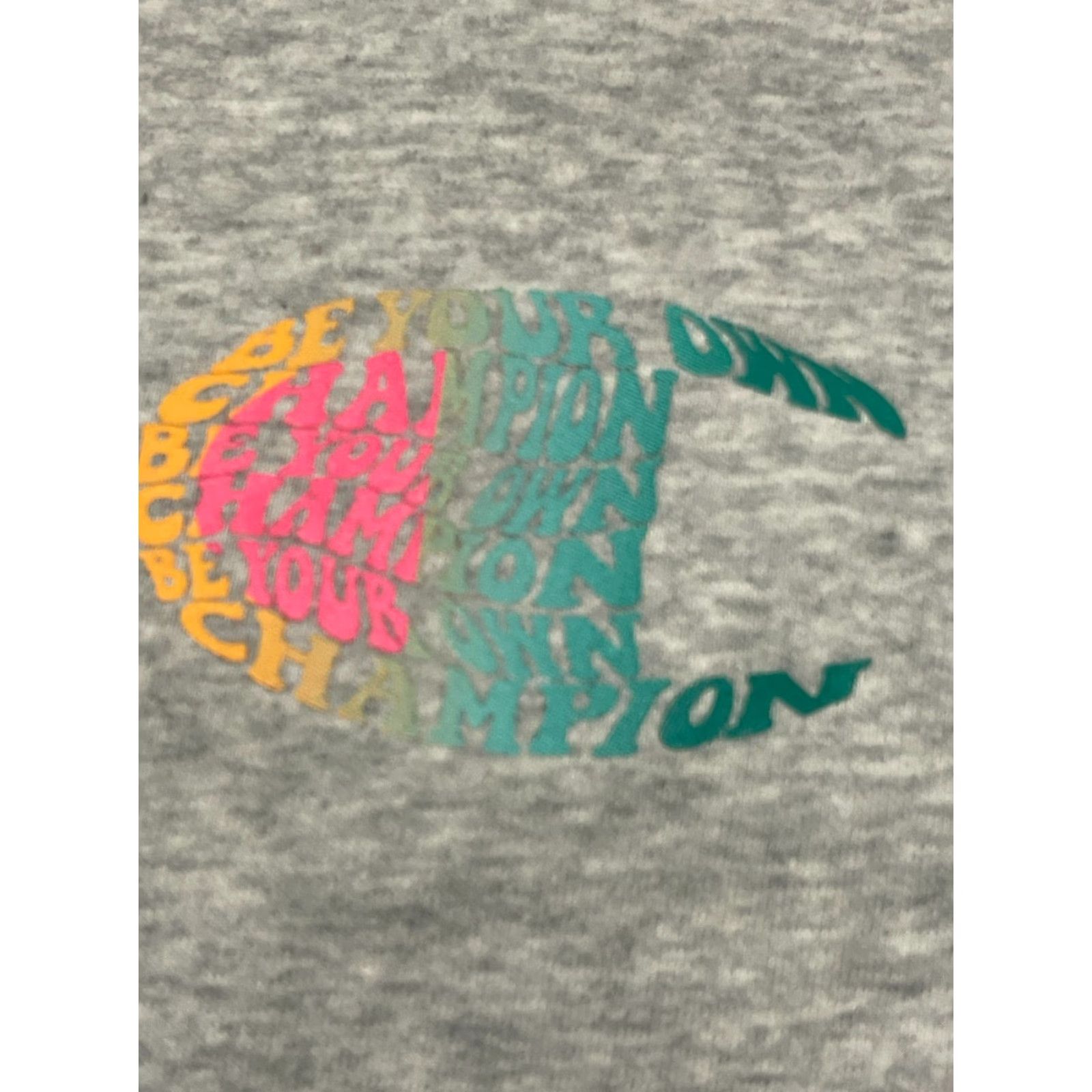 Champion Champion Hoodie Women’s L Gray Pullover V-Neck Crop, Long Sleeve, Casual, Free Return, Regular Fit, Brand Champion, Modern Style Size L / US 10 / IT 46 - 5 Thumbnail
