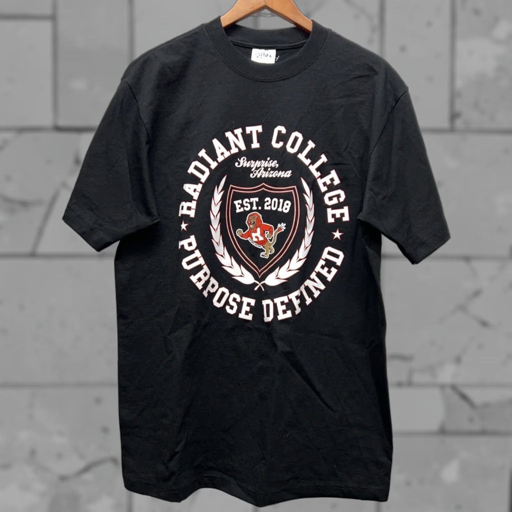 Vintage VINTAGE Shaka Wear Radiant College Surprise AZ Shaka Heavy T-Shirt Mens Size L Size US L / EU 52-54 / 3 - 1 Thumbnail
