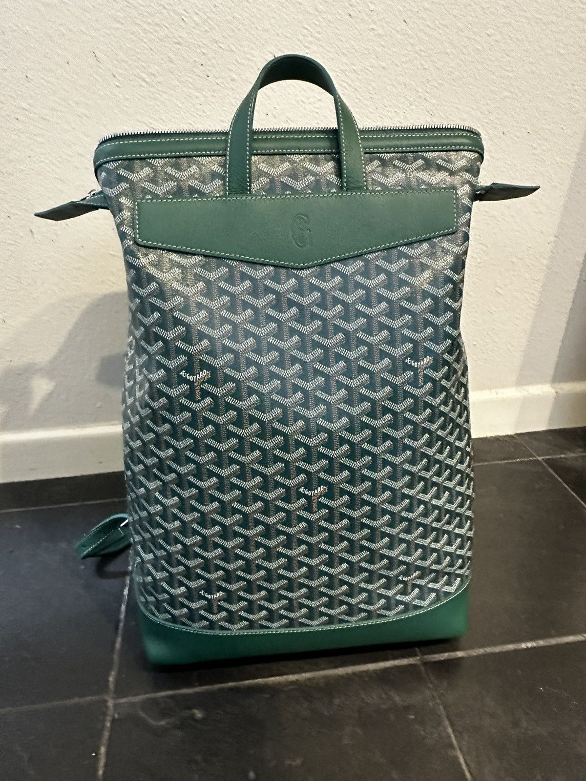 image of Goyard Cisalpin Backpack in Green, Men's