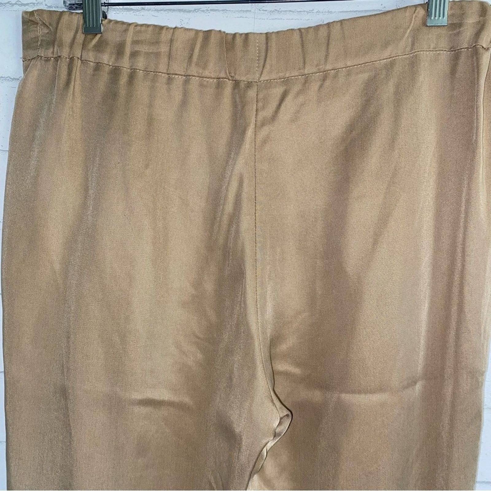Aritzia BABATON Aritizia $148 Conan Lyocell Tan Trouser Pants 6 EUC Size 28" / US 6 / IT 42 - 8 Thumbnail