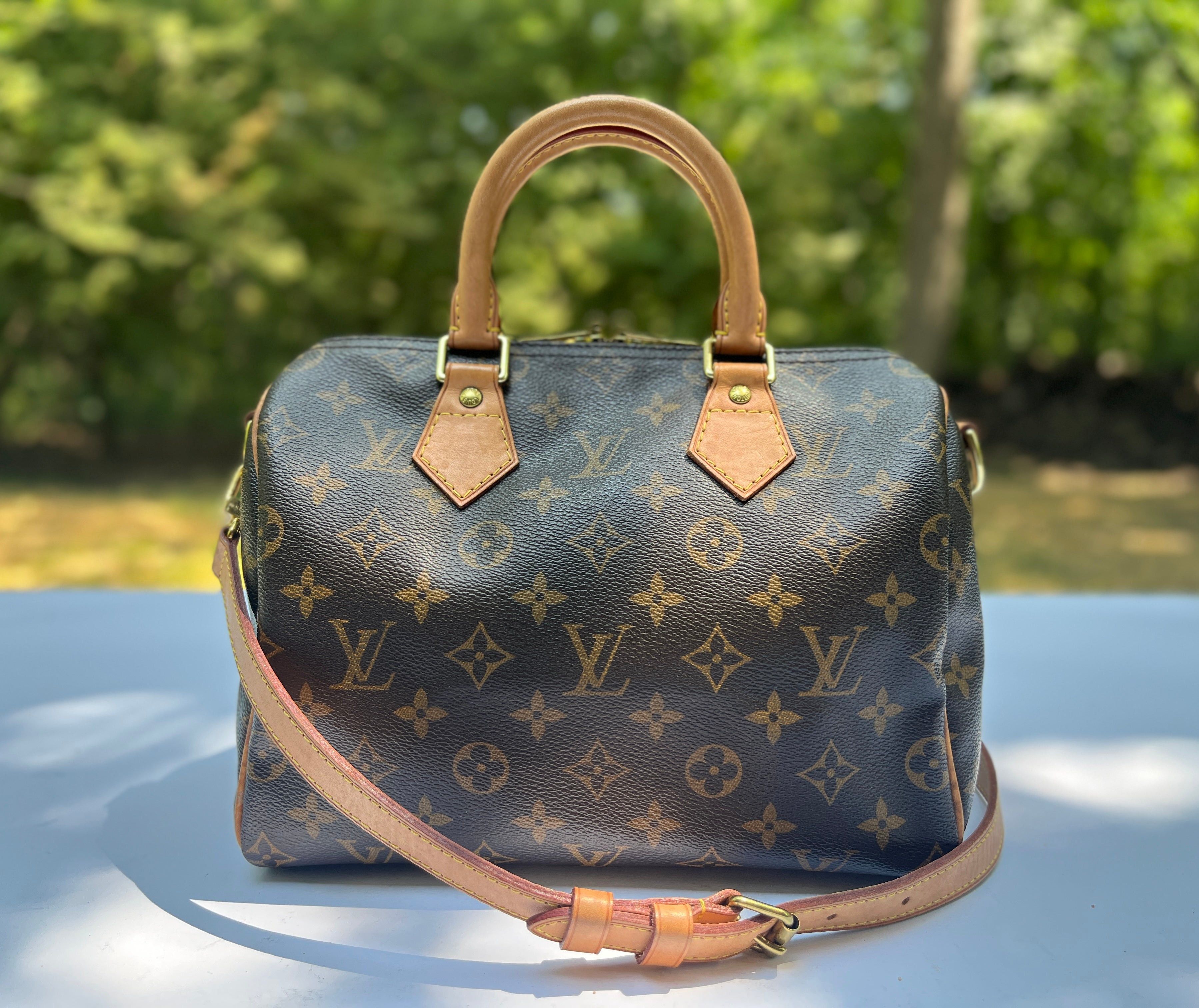 Louis Vuitton Monogram Speedy Bandoliere 25 Crossbody Bag