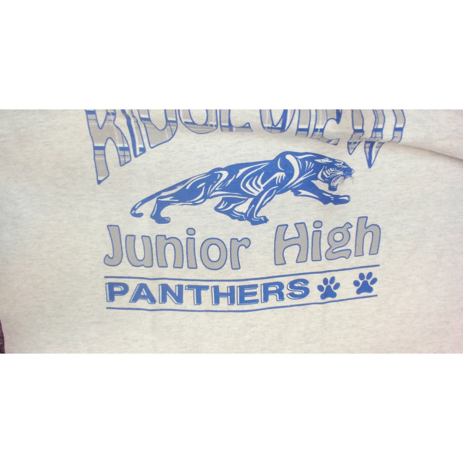 Fruit Of The Loom FOTL Vintage 90s Single Stitch Panthers Blank Tee Large Size US L / EU 52-54 / 3 - 8 Thumbnail