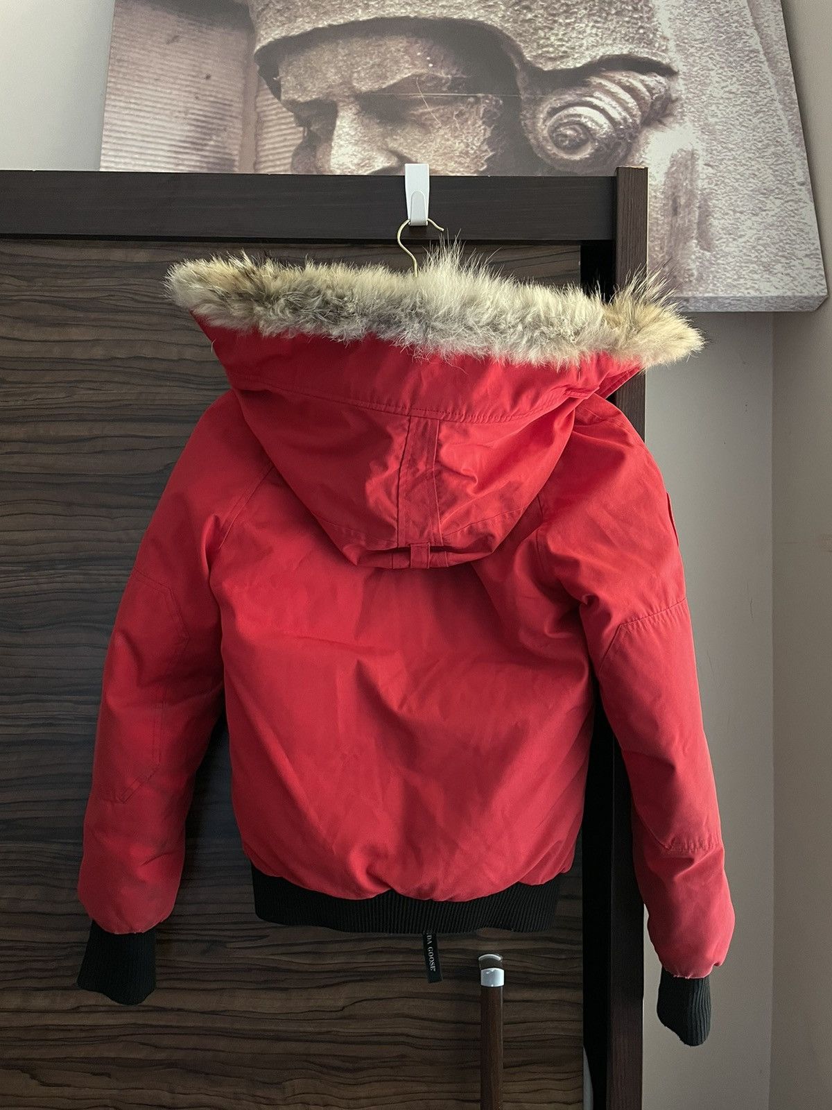 Canada Goose Canada Goose Bomber (Youth medium) Size US XXS / EU 40 - 2 Thumbnail