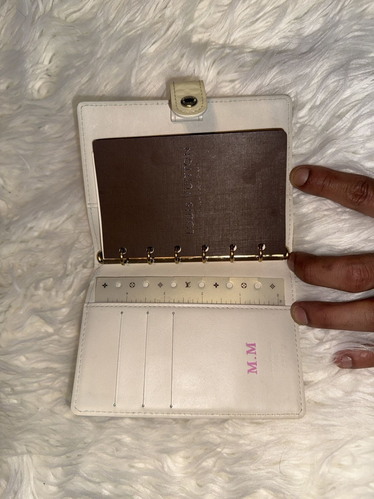 Louis Vuitton Louis Vuitton Passport Agenda Cover Size ONE SIZE - 18 Thumbnail