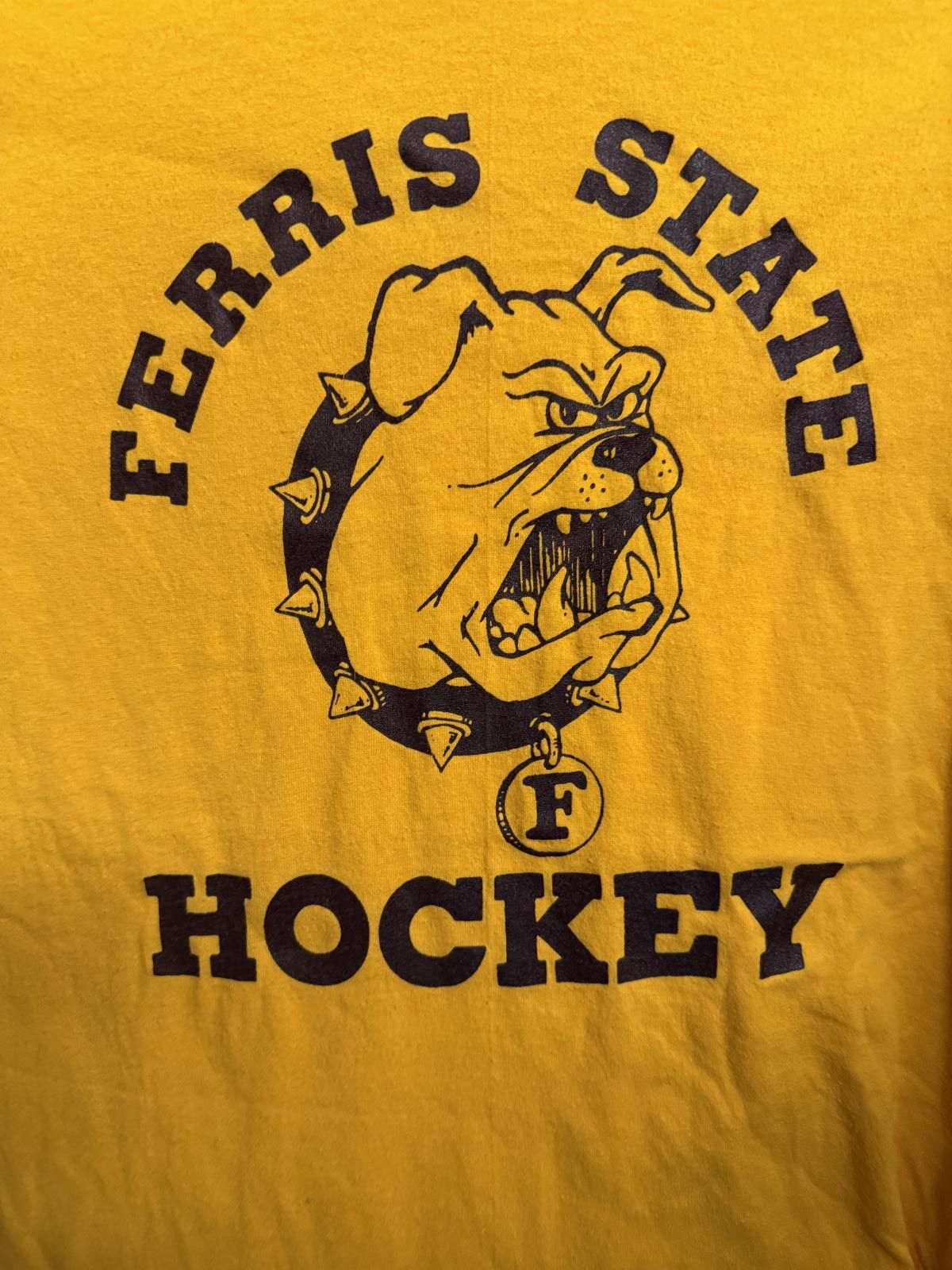 Hanes Vtg Ferris State Hockey T-shirt Ferris Bulldogs Tee - L Size US L / EU 52-54 / 3 - 3 Thumbnail