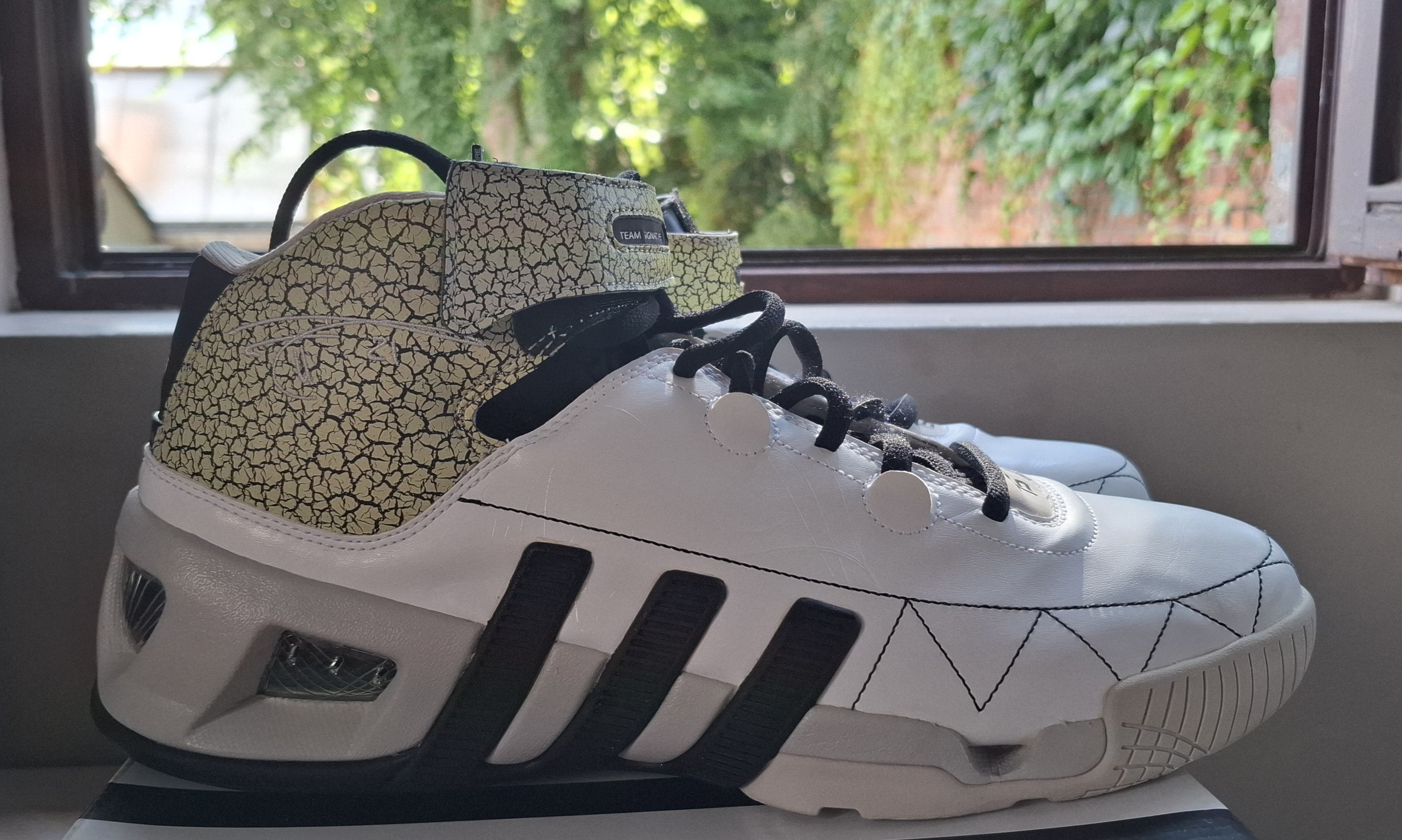 Adidas TM Commander Tim Duncan