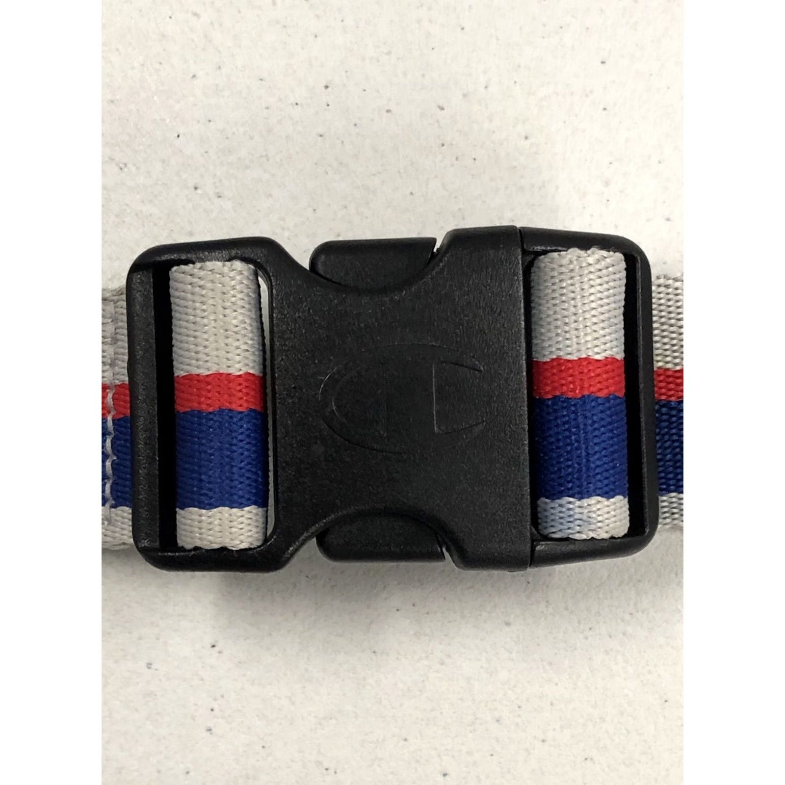 Champion Champion Fanny Pack Belt Bag & Belt Bag Gray, Adjustable Strap, Zip Closure, Classic Look, Men Size ONE SIZE - 6 Thumbnail