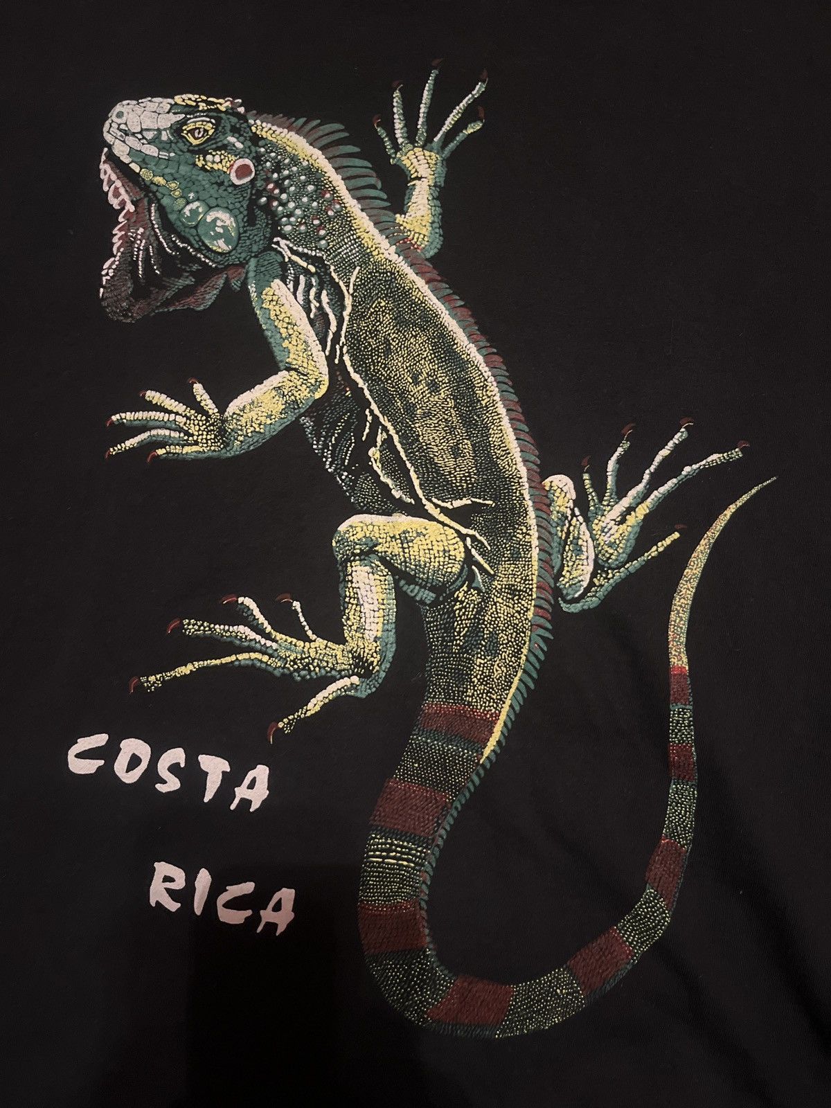 Vintage Vintage Costa Rica graphic tee Size US M / EU 48-50 / 2 - 3 Thumbnail
