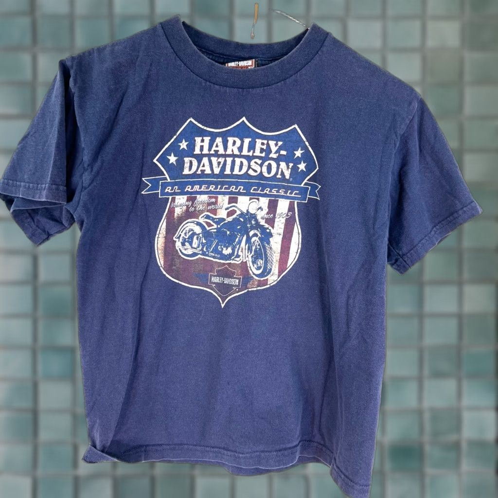 Harley Davidson Harley-Davidson All American Classic WI Harley Adult Small Graphic Tee Shirt US Theme Biker Motorcycle USA Mens Size US S / EU 44-46 / 1 - 1 Thumbnail