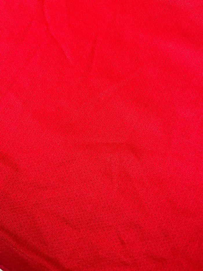 Champion Vintage Champion Chicago Bulls Dennis Rodman #91 NBA Jersey Size US L / EU 52-54 / 3 - 14 Thumbnail