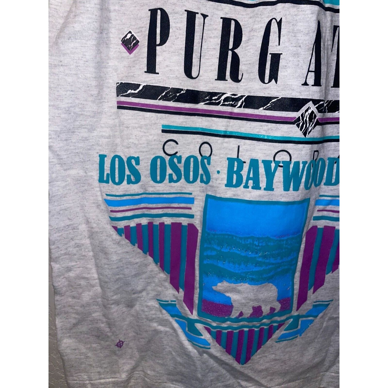 Signal Sport Vintage Purgatory Shirt Baywood Park CO Test Print Ski 90s L Size US L / EU 52-54 / 3 - 6 Thumbnail