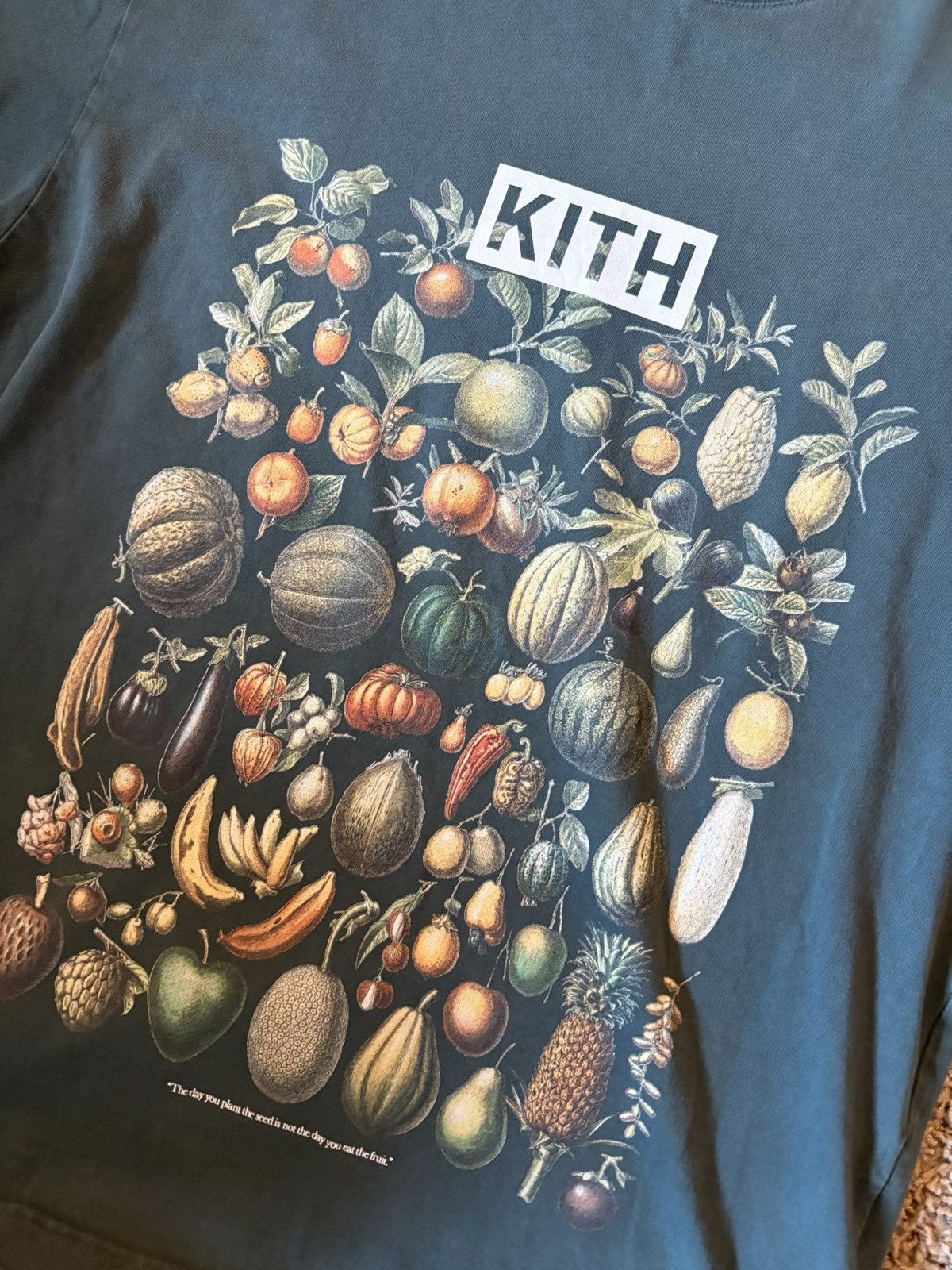Kith Kith Fruits and Vegetables Tee Size US S / EU 44-46 / 1 - 2 Thumbnail