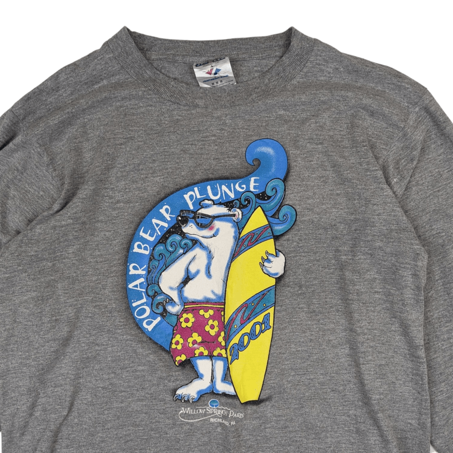 Jerzees Vintage 2001 POLAR BEAR PLUNGE Surf Long Sleeve T-Shirt Size US M / EU 48-50 / 2 - 4 Thumbnail