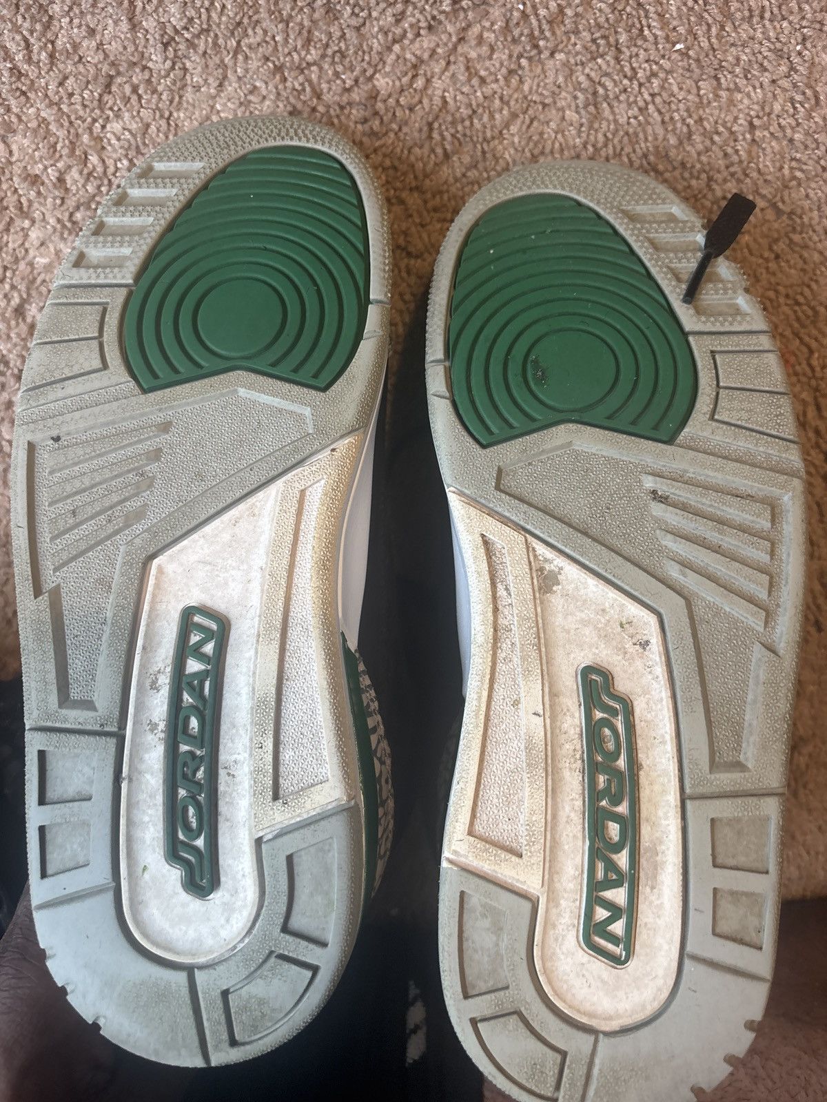 Jordan Brand × Nike Pine Green Jordan 3s Size US 8 / EU 41 - 7 Thumbnail