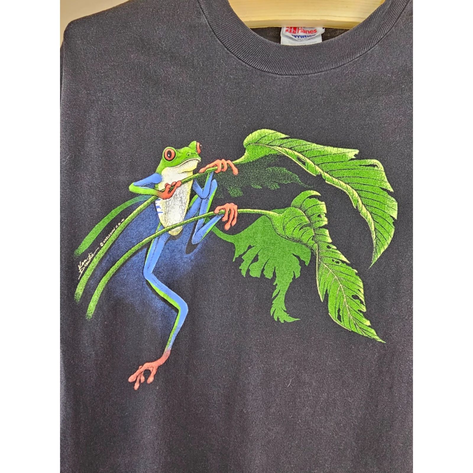 Hanes VINTAGE 91' FROG KEN DREWKE 2 SIDE PRINT SINGLE STITCH BLACK COTTON T-SHIRT SZ L Size US L / EU 52-54 / 3 - 2 Thumbnail