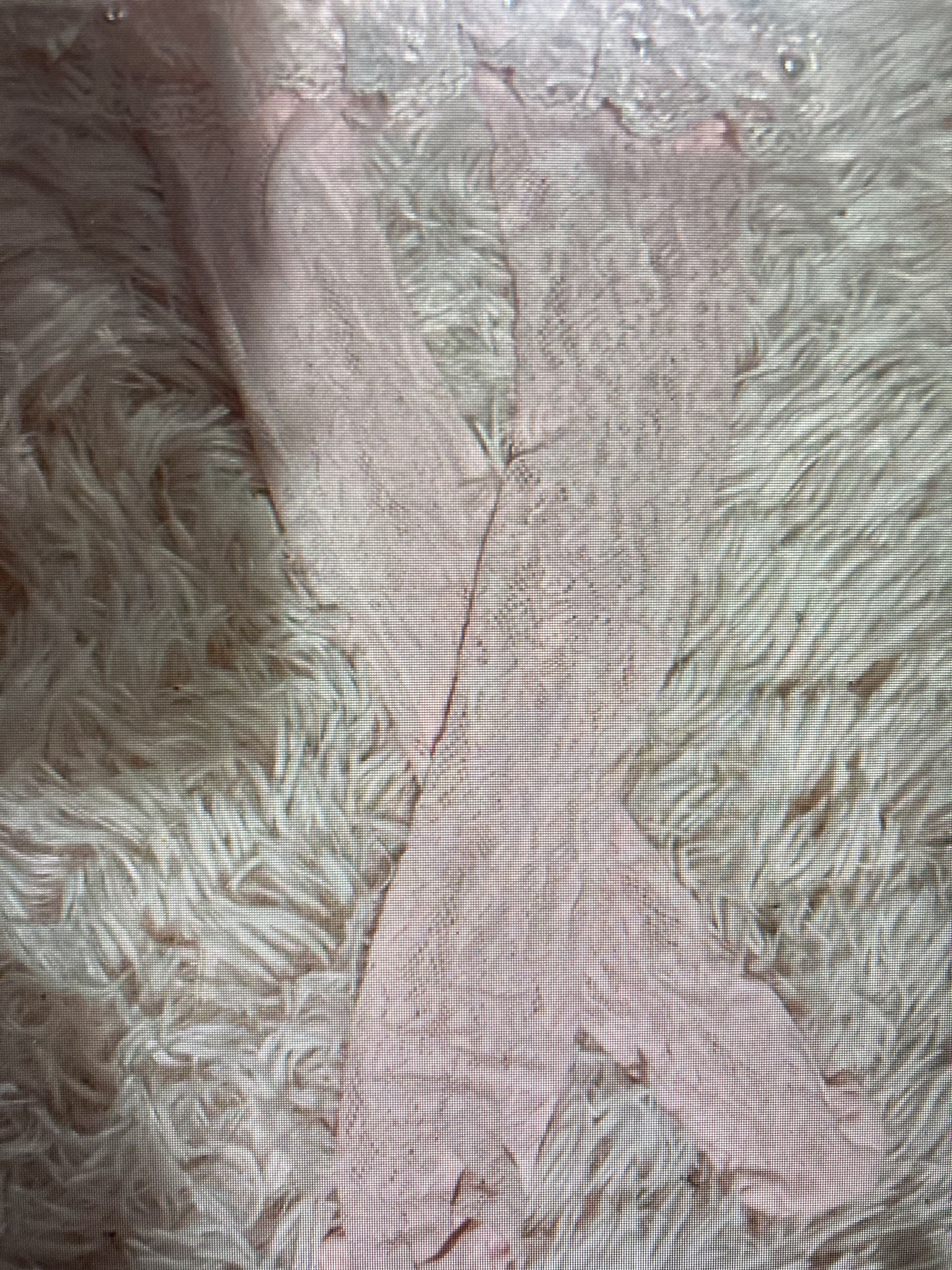 Other Princess socks pink Size ONE SIZE - 1 Preview