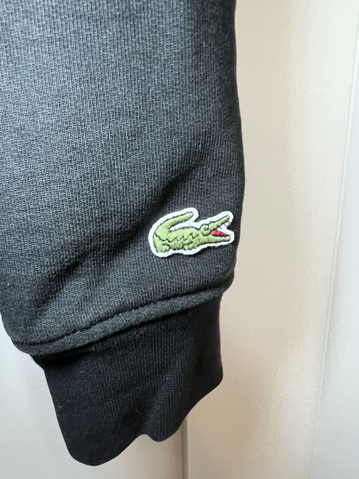 Lacoste Lacoste classic fit big logo print pullover hoodie Size US XL / EU 56 / 4 - 6 Thumbnail