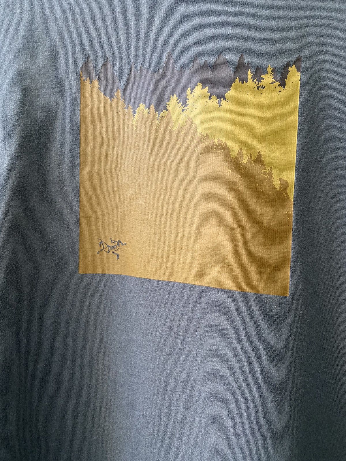 Arc'teryx Vintage Arcteryx T-Shirt Box Logo Size US M / EU 48-50 / 2 - 2 Thumbnail