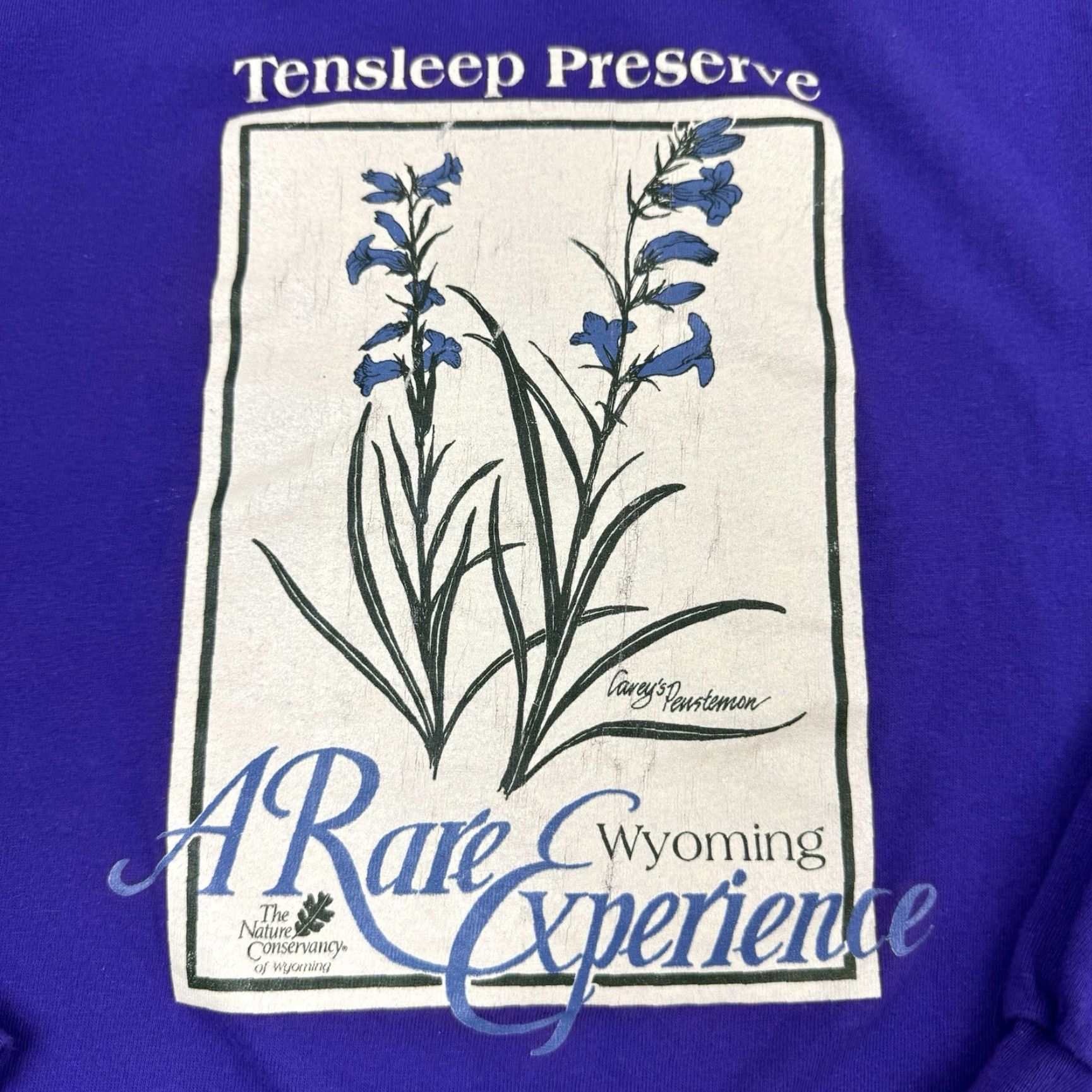 Hanes Vintage, Yes, Vintage Plant Nature T Shirt Adult XL Purple Tensleep Preserve Flower 90s Size US XL / EU 56 / 4 - 3 Thumbnail