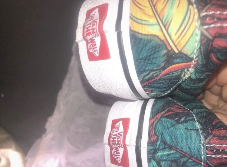 Vans Vans triple crown 2015 limited edition new Size US 7 / EU 40 - 7 Thumbnail