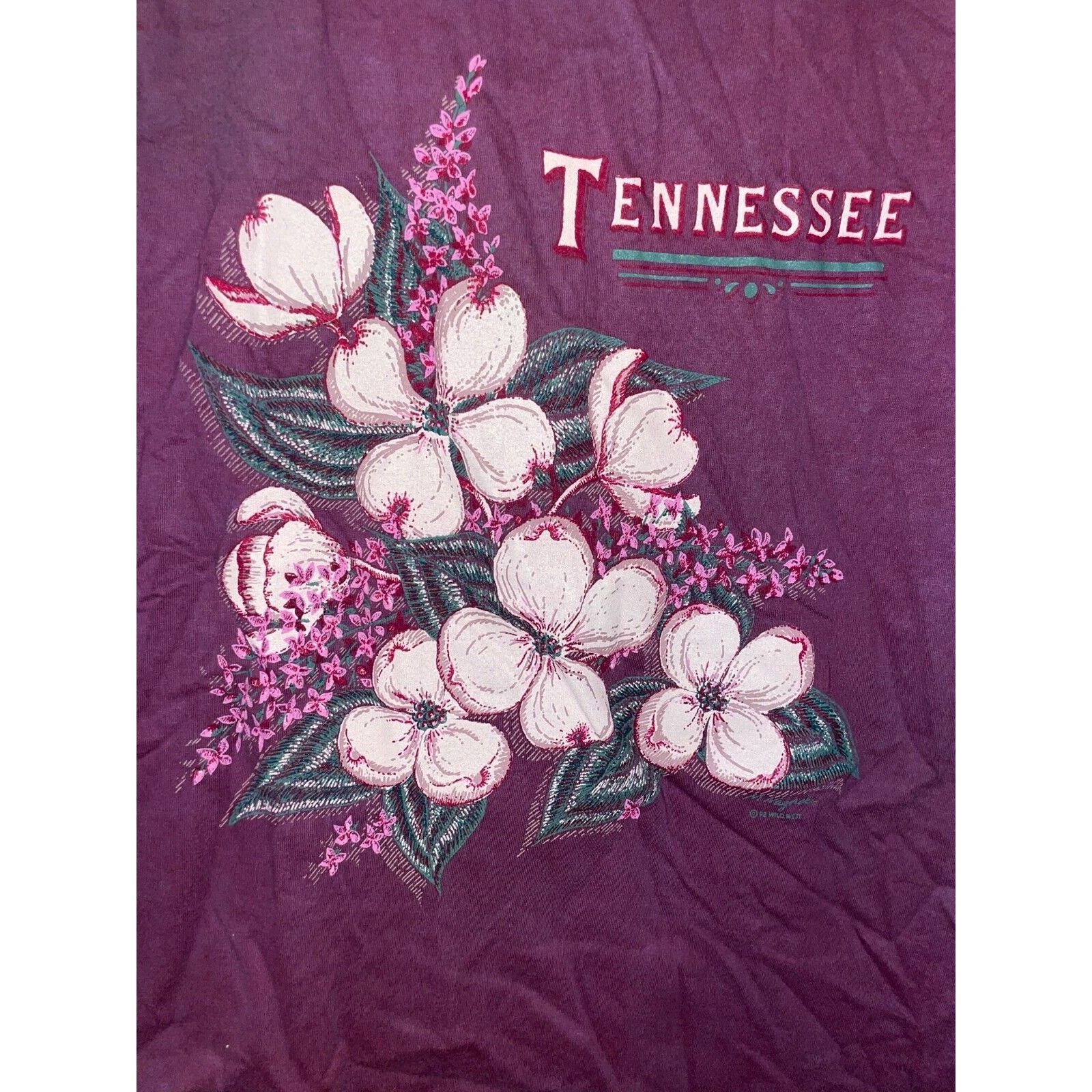 Jerzees Vintage Tennessee Shirt Wildflower Flower Tee VTG 90s Small Size US S / EU 44-46 / 1 - 2 Thumbnail