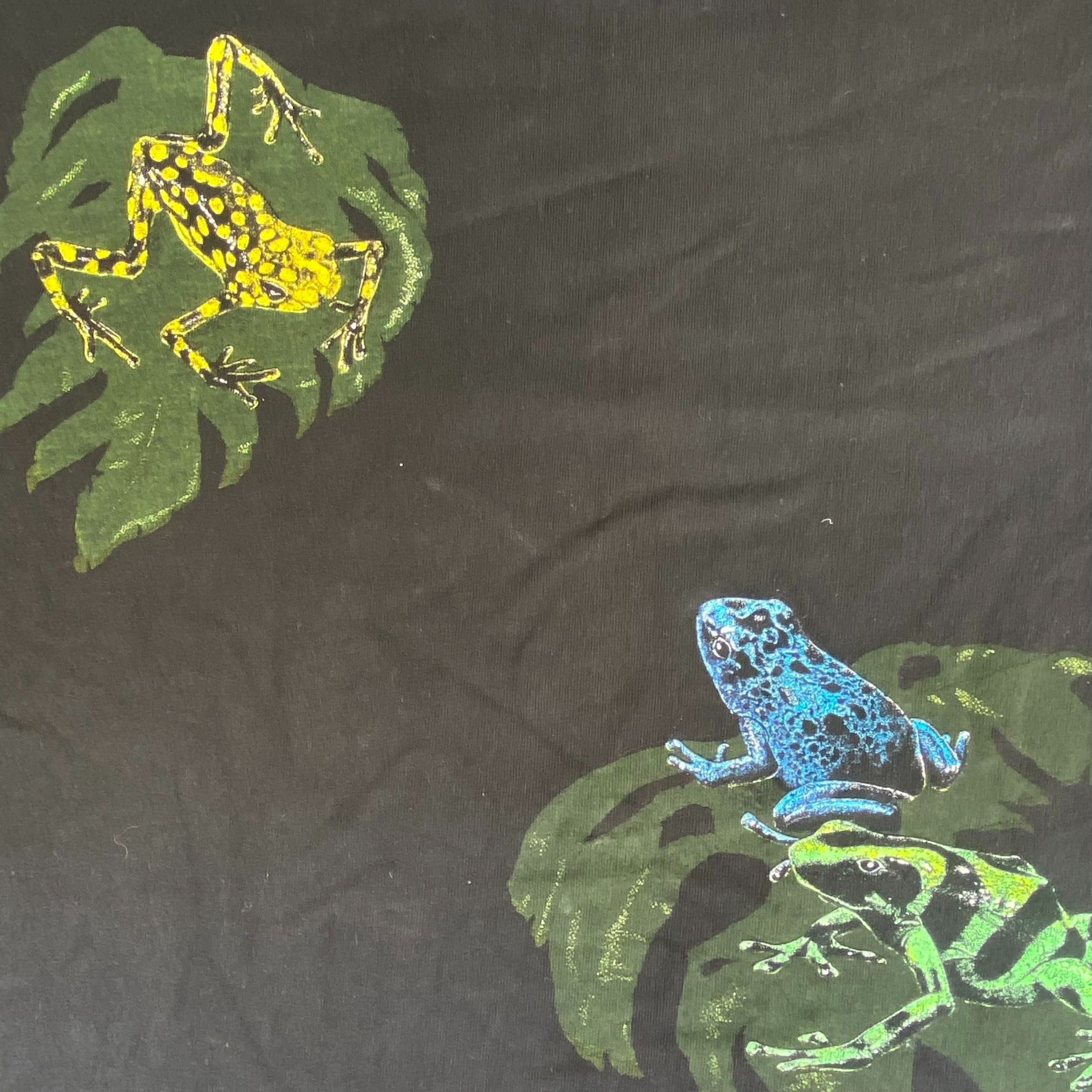 Hanes Vintage 90s Rainforest Frogs Shirt Nature Animal Jungle Tee Size US M / EU 48-50 / 2 - 9 Thumbnail