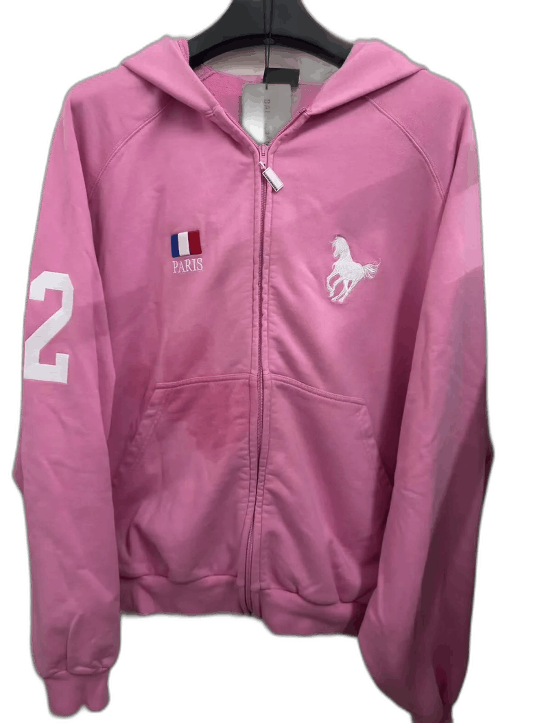 Balenciaga Balenciaga Pink Hoodie with Horse Design-2506 Size L / US 10 / IT 46 - 1 Thumbnail