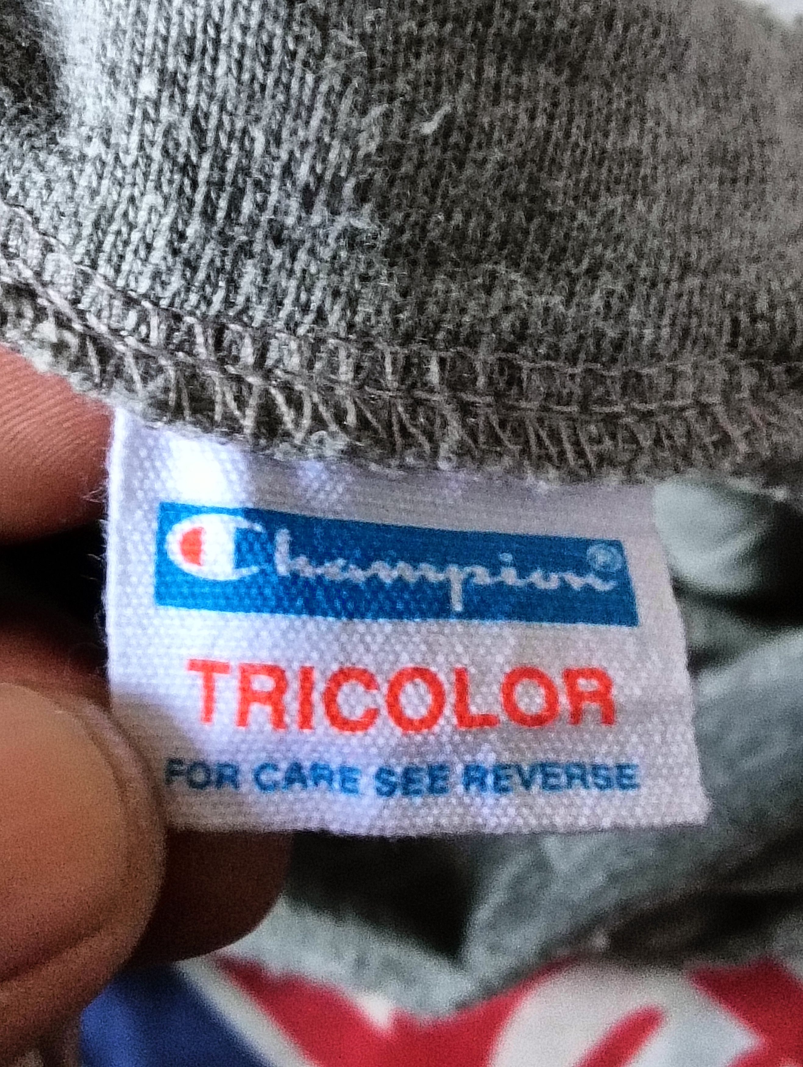 Champion × Japanese Brand Champion Tricolour X Deltavill tote bag Size ONE SIZE - 4 Thumbnail