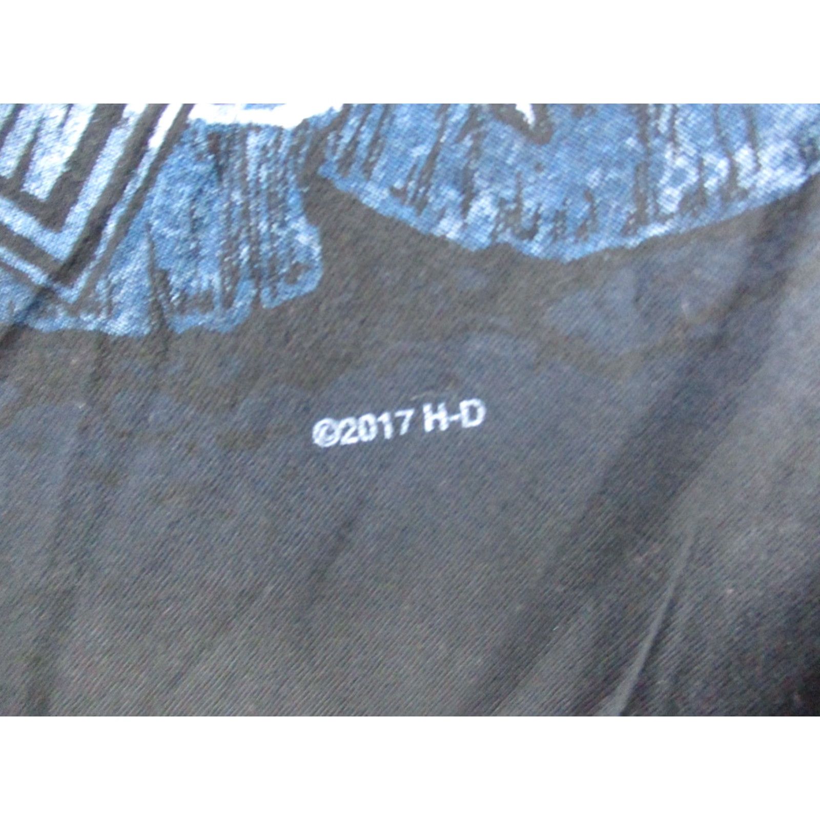 Harley Davidson Harley-Davidson Shirt Mens Large Short Sleeve Skull Biker Rocky Top TN Black Crew Neck T-Shirt 2010s Graphic Print Size US L / EU 52-54 / 3 - 3 Thumbnail
