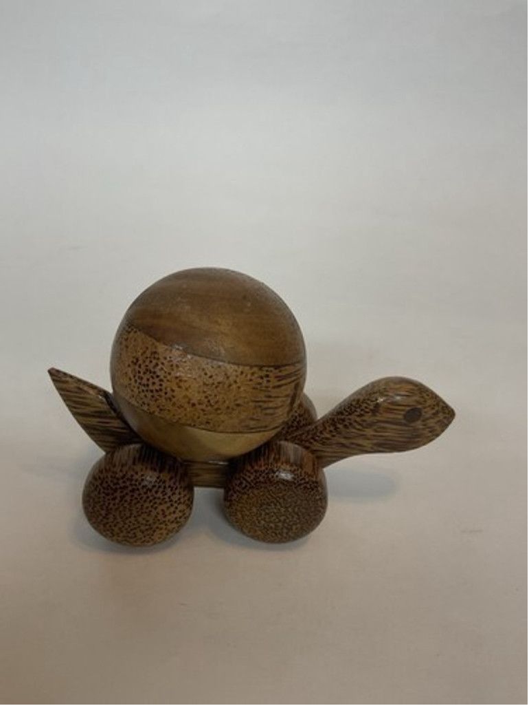 Other Turtle Push Toy Educational Toyon Wheels Rolling BallOn Top Size ONE SIZE - 10 Thumbnail
