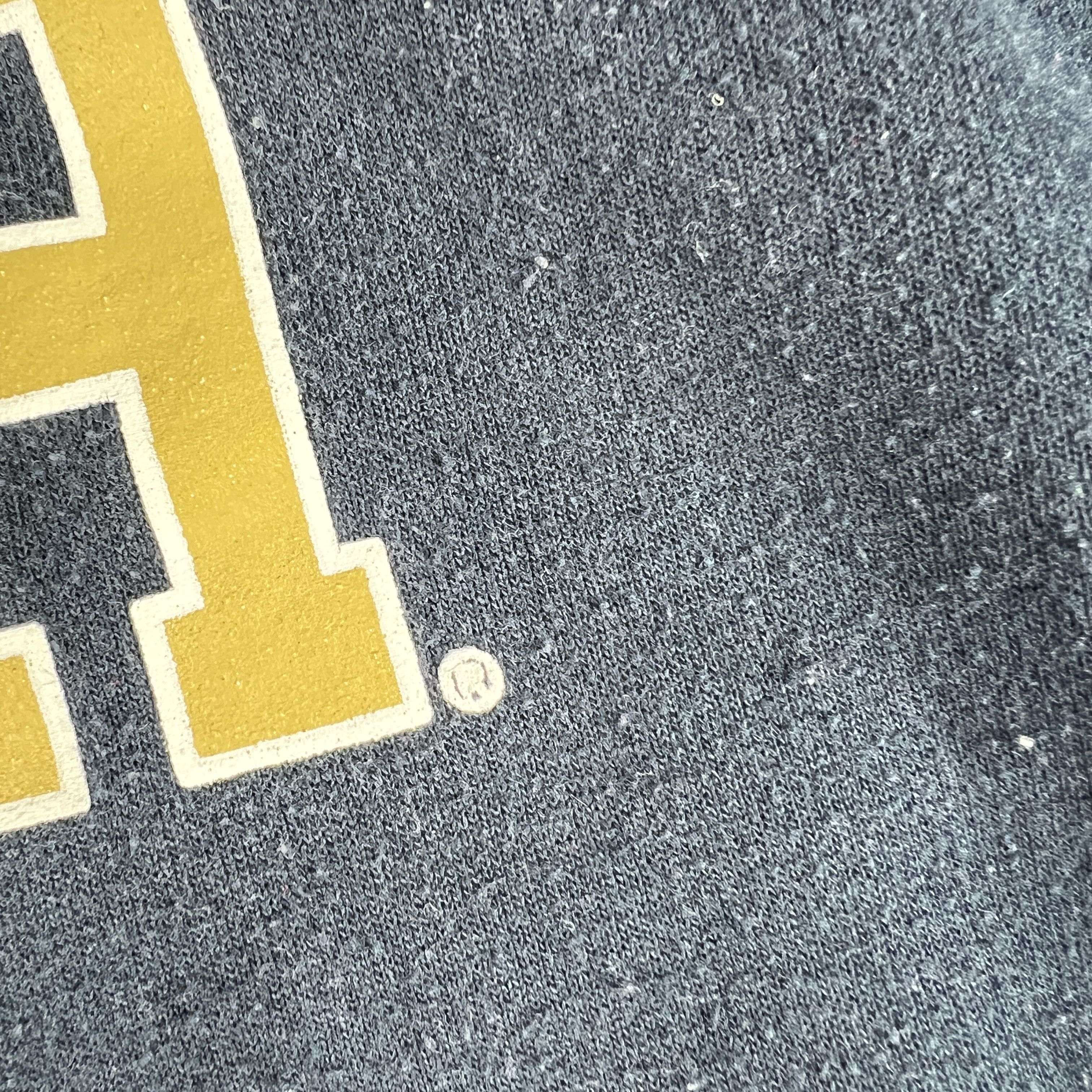 Champion × NCAA Champion Georgia Tech Yellow Jackets Sweatshirt Faded Hoodie Size US M / EU 48-50 / 2 - 4 Thumbnail