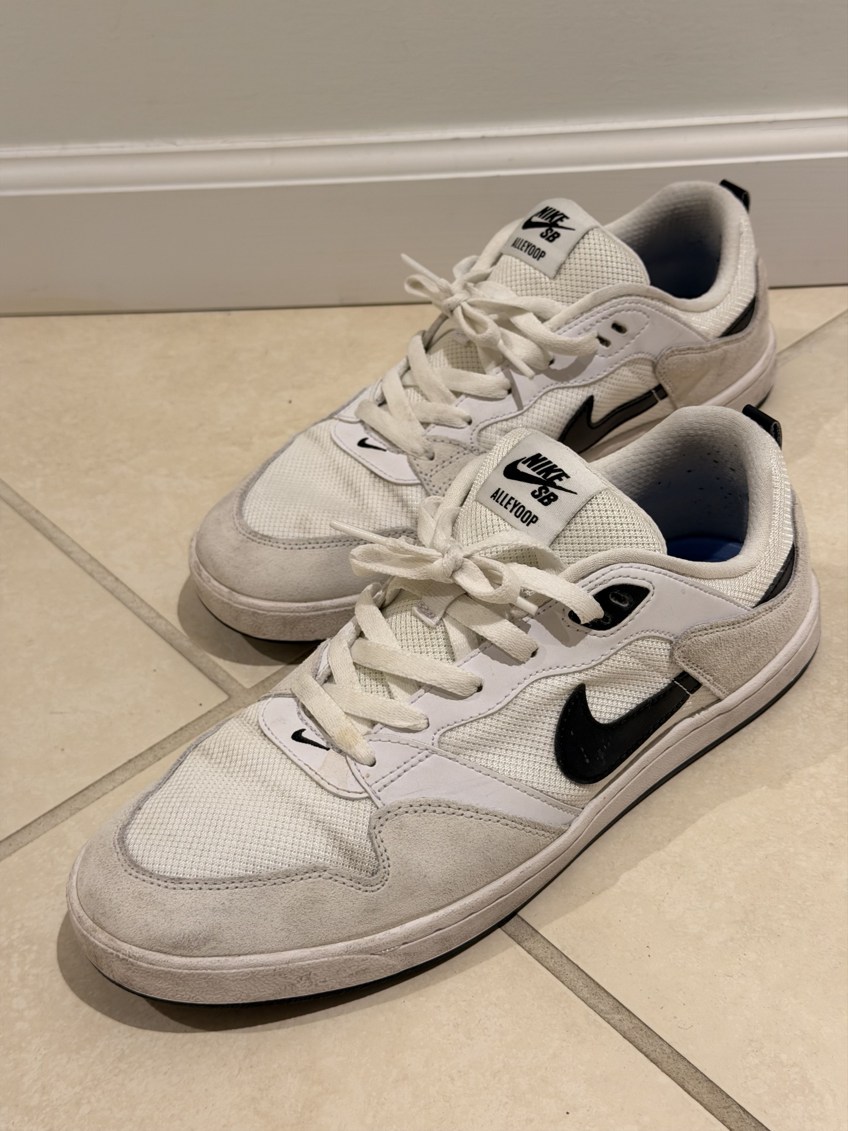 Nike SB Nike DB Alleyoop Size US 10 / EU 43 - 1 Thumbnail