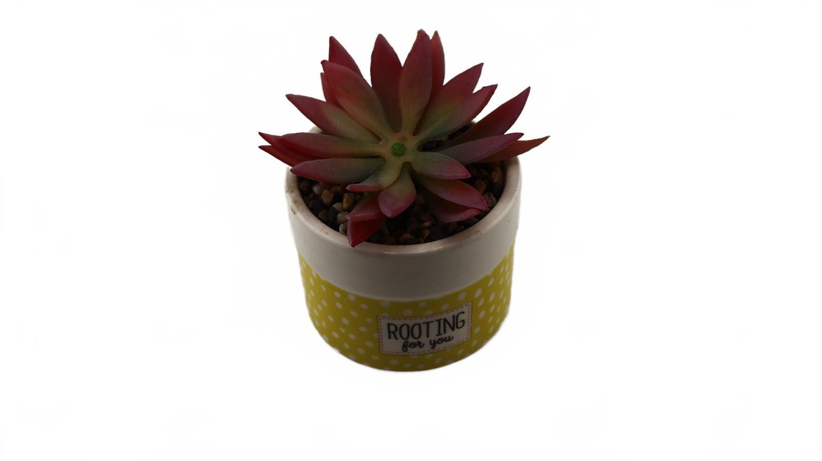 Designer Polkadot Yellow Ceramic Planter with Artificial Succulent Size ONE SIZE - 1 Thumbnail